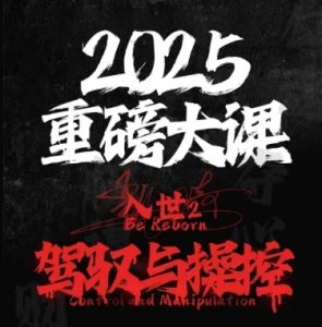 2025重磅大课,入世2,驾驭与控制-最全项目网