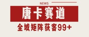 小红书某音唐卡赛道引流获客 自热矩阵日引200+【揭秘】-最全项目网