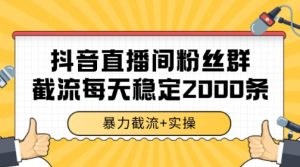 抖音直播间粉丝群暴力截流,一台电脑每天稳定2000条数据【揭秘】-最全项目网
