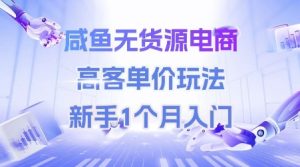 咸鱼无货源电商,高客单价玩法,新手1个月入门-最全项目网
