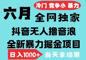 2025年6月高爆抖音无人直播最新撸音浪掘金项目,无脑日入1k+,低门槛小白可做,可矩阵放大【揭秘】-最全项目网
