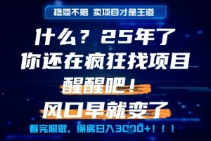 什么?25年你还在疯狂找项目做,醒醒吧,看完这些你全都懂了!【揭秘】-最全项目网