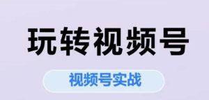 玩转视频号,视频号实战系列课-最全项目网