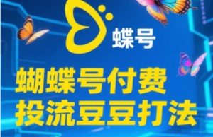 2025蝴蝶号付费投流豆豆打法，助新手快速掌握付费流量撬动自然流的核心玩法-最全项目网