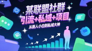 某联盟社群,引流+私域+项目,从新人小白到私域大神-最全项目网