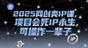 2025网创类IP课,项目会死IP永生,可操作一辈子-最全项目网
