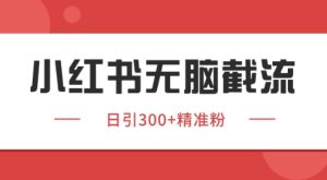 小红书截流同行客源，独家野路子获客玩法 日引200+暴力获客【揭秘】-最全项目网