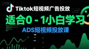 Tiktok短视频广告投放,适合0-1小白学习ADS短视频投放课-最全项目网