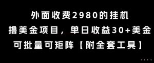 外面收费2980的挂G撸美金项目,单日收益30+美金,可批量可矩阵【揭秘】-最全项目网
