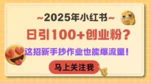 2025年小红书日引100+创业粉?这招新手抄作业也能爆流量!-最全项目网