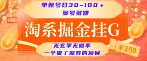 淘系掘金挂G项目,单账号日收益30~100+,多号多得,一个做了就有的项目【揭秘】-最全项目网
