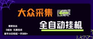 大众采集全自动玩法,新手小白轻松一天5张+,操作简单零成本【揭秘】-最全项目网