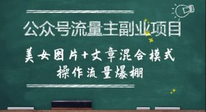 公众号流量主副业项目,美女图片+文章混合模式操作流量爆棚-最全项目网