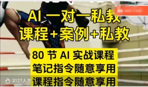 AI指令实战课,课程+案例,80节AI实战课程,笔记指令随意享用,课程指令随意享用(更新7月)-最全项目网