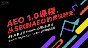 AEO 1.0 课程,从SEO到AE0的基命性转变,手把手教会你用AnswerEngineOptimization技术抢回流量-最全项目网