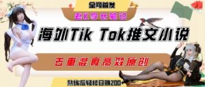 海外tiktok小说推文暴力项目,高停留率,高转化率,上手后一天搞顿饭钱不是问题-最全项目网