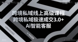 跨境私域线上高级课程,跨境私域极速成交3.0+Ai智能客服-最全项目网