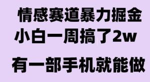 情感暴力掘金项目,新人操作一周挣了2W,长期稳定小白可做【揭秘】-最全项目网