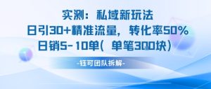 实测私域新玩法日引30加精准流量转化率50%日销5-10单每笔3张-最全项目网