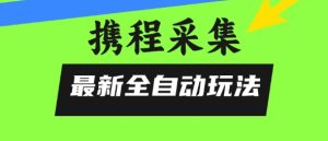 携程信息采集全自动玩法,0风控,无脑开干【揭秘】-最全项目网