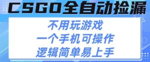 CSGO自动捡漏项目,最新独家玩法,不用挂G不用玩游戏,一个手机即可操作,新手小白轻松月入1W+【揭秘】-最全项目网