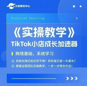 大卖家孵化中心TikTok实操课,TikTok小店成长加速器,跨境基础系统学习,一步一步带你开店-最全项目网