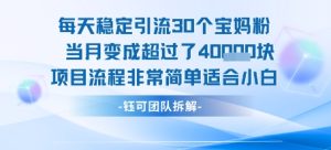 每天稳定引流30个人 当月变成超过了4个W项目流程非常简单适合小白-最全项目网