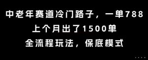 中老年赛道冷门路子,一单788,上个月出了1500单,全流程玩法,保底模式【揭秘】-最全项目网