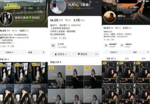 抖音图文文案赛道新玩法,快速养号起号,广告收益分成+橱窗带货+教学收徒等-最全项目网