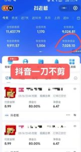 抖音短视频一刀不剪带货,不剪辑,不直播,每天发个视频,等着出单获取带货佣金-最全项目网