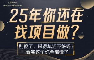 25年,你还在疯狂的找项目吗?别傻了,看完这个你都懂了【揭秘】-最全项目网