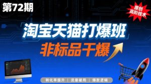 淘宝天猫打爆班原创高阶技术第72期，非标品干爆-最全项目网