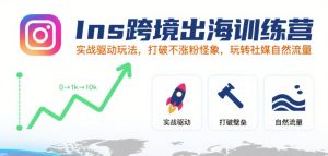 Ins跨境出海训练营,实战驱动玩法,打破不涨粉怪象,玩转社媒自然流量-最全项目网