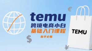 temu跨境电商小白基础入门课程，新手必看-最全项目网