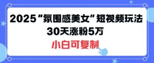 不露脸也能火!2025“氛围感美女”短视频玩法,30天涨粉5W小白可复制-最全项目网