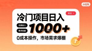 在小红书上发现个冷门路子，需求不小，零成本操作，每天能有1k进账-最全项目网