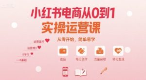 小红书电商从0到1实操运营课,从零开始,简单易学-最全项目网