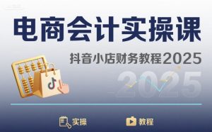 电商会计实操课-抖音小店财务教程2025-最全项目网