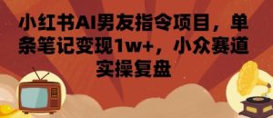 小红书AI男友指令项目,单条笔记变现1w+,小众赛道实操复盘-最全项目网