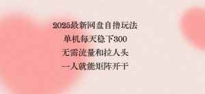 2025最新网盘自撸玩法,单机每天稳下3张,无需流量和拉人头,一个人就可轻松矩阵,全网独一份【揭秘】-最全项目网