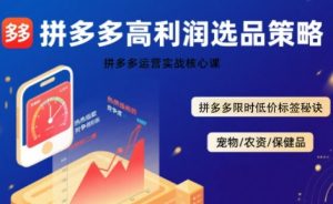 拼多多选品暴利技术实战课,拼多多高利润选品策略,拼多多限时低价标签秘诀-最全项目网