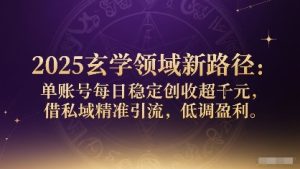 2025玄学领域新路径:单账号每日稳定创收1k+,借私域精准引流,低调盈利-最全项目网