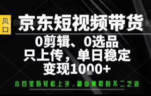 你出账号,我来运营,保底日入1k+,开启躺賺模式【揭秘】-最全项目网