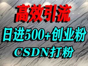 怎么打创业粉?CSDN又一个你不知道的打粉引流神秘平台,单人日引500+精准流量-最全项目网
