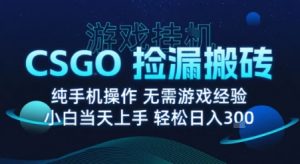 8月最新游戏搬砖,CSGO纯挂G,不需要玩游戏,实现真挂G,月入1W+【揭秘】-最全项目网