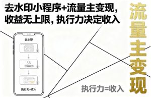 去水印小程序+流量主变现,收益无上限,执行力决定收入-最全项目网