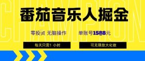 番茄音乐人掘金,单账号最高可撸1k+,可无限矩阵去做,零投入-最全项目网