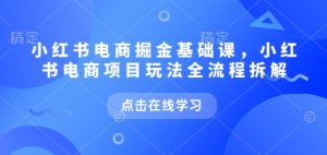 小红书电商掘金课,小红书电商项目玩法全流程拆解(更新9月)-最全项目网