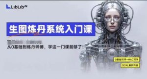 LibLibAI哩布哩布生图炼丹系统入门课,从生图到炼丹,只学这一门就够了-最全项目网