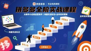 拼多多全阶实战课程,从新手小白到运营高手,海量实战玩法+全年实时更新【2025年9月更新】-最全项目网